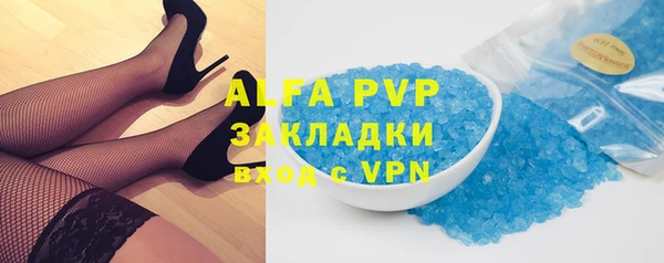 гашик Новозыбков