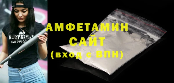 гашик Новозыбков