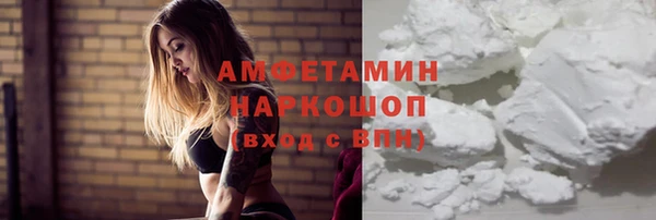 гашик Новозыбков