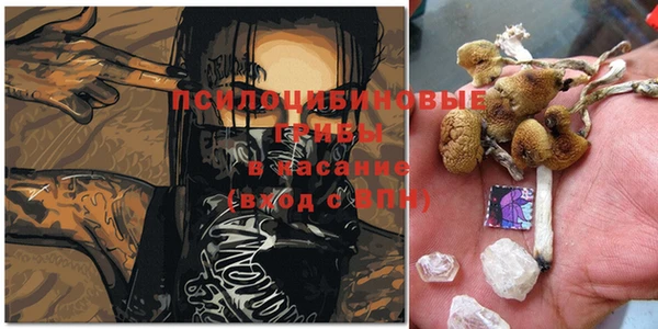 ГАЛЛЮЦИНОГЕННЫЕ ГРИБЫ Новокубанск