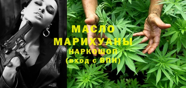 гашик Новозыбков