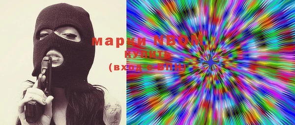 гашик Новозыбков