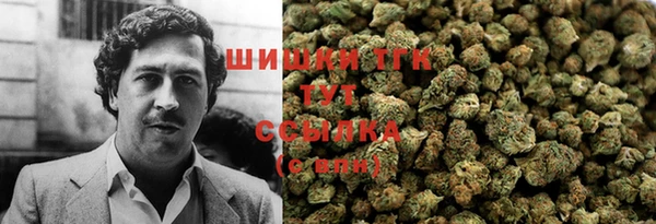 гашик Новозыбков