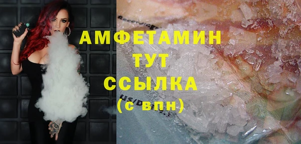 гашик Новозыбков