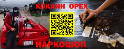 стаф Дубна