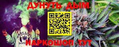 стаф Дубна