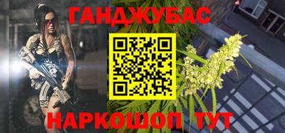 стаф Дубна