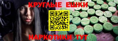стаф Дубна