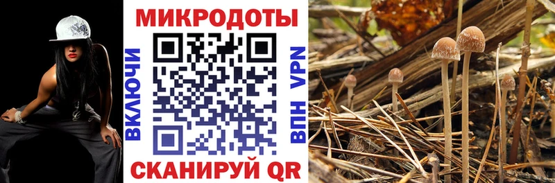 Галлюциногенные грибы MAGIC MUSHROOMS  МЕГА онион  Рославль  купить закладку 