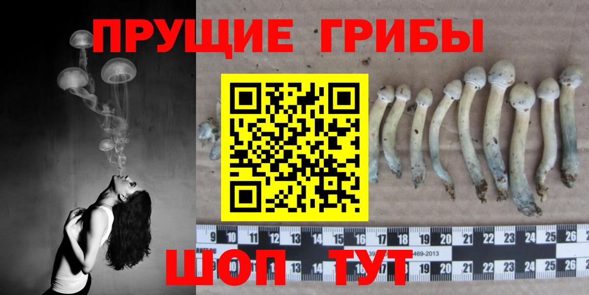 Галлюциногенные грибы прущие грибы  Вход с VPN  Рославль 